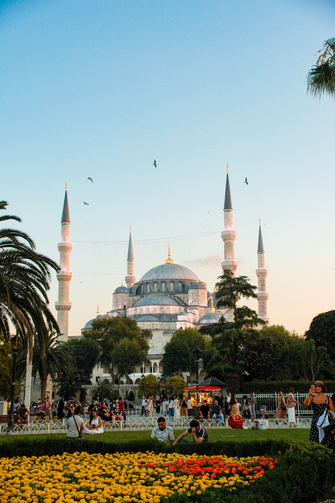 Blue Mosque at sunset with flower beds in Istanbul
